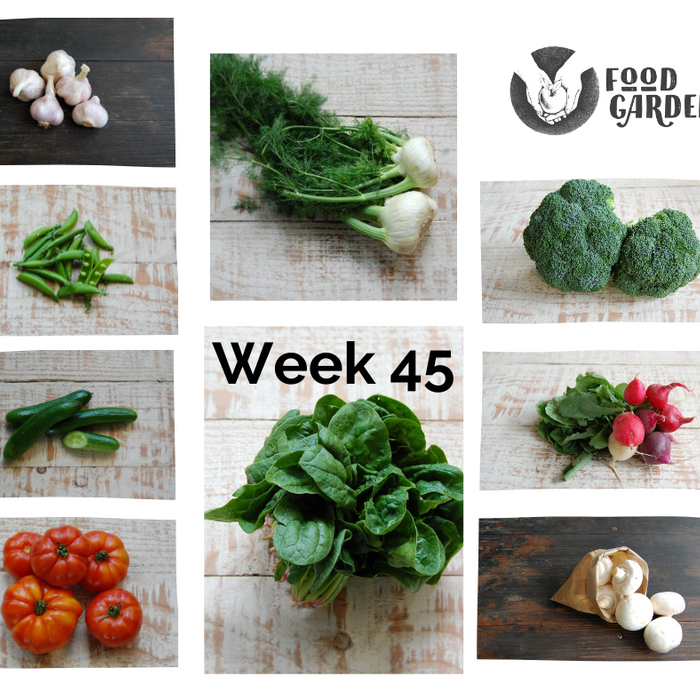 Week 45 - Broccoli, Fennel, Spinach, Tomato, Cucumber, Iceberg Lettuce and Pink Grapefruit