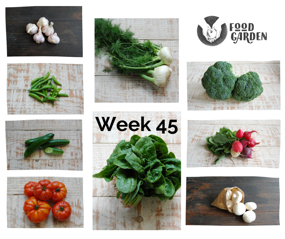 Week 45 - Broccoli, Fennel, Spinach, Tomato, Cucumber, Iceberg Lettuce and Pink Grapefruit