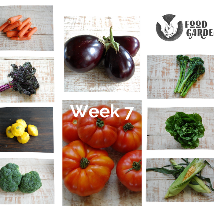 Week 7 - Broccolini bunches, Red Curly Kale, Roma Tomato, biodynamic Eggplant, local Carrots and biodynamic Pears
