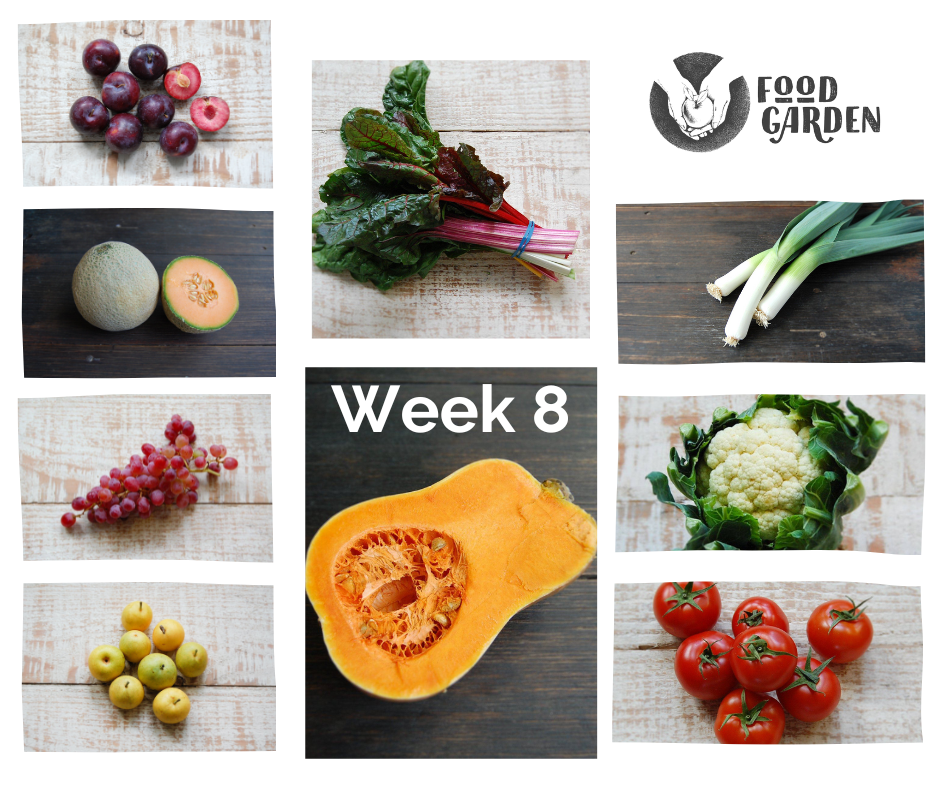 Week 8 - Red Capsicum, Butternut Pumpkin, Baby Cos Lettuce, Rainbow Chard, Cauliflower and Red Candy Plums