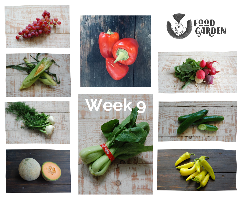 Week 9 - Corella Pears, Granny Smith, Golden Delicious, Ruby Seedless Grapes, Red Candy Plums and Tiger Watermelon