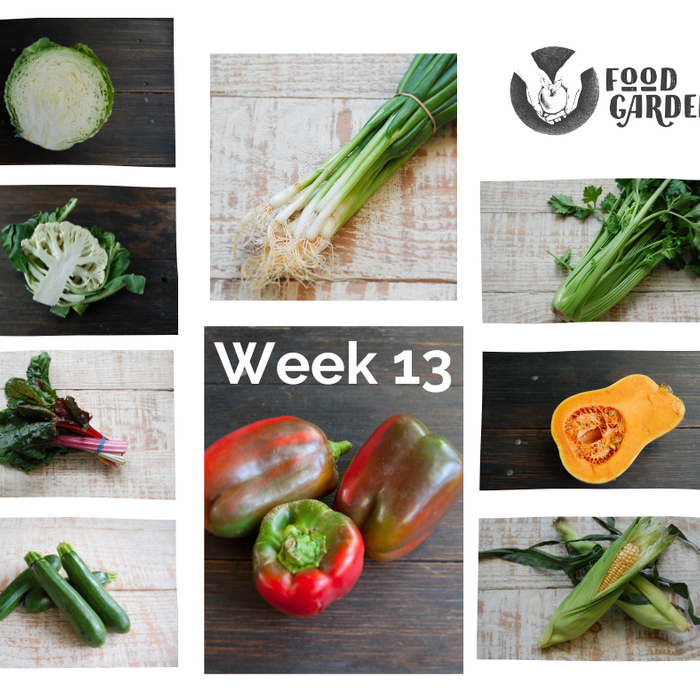 Week 13 - Biodynamic Summer Pinks, September Candy Plums, Red Capsicum, Rainbow Chard, Spring Onion and Sweet Corn