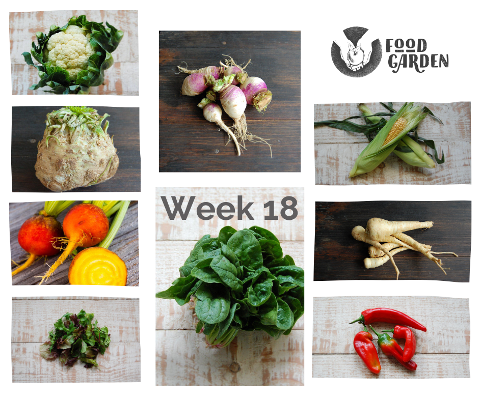 Week 18 - Gold Beetroot, biodynamic Parsnip, huge Sweet Potato, loads of fresh greens, Pomegranate and biodynamic Pears