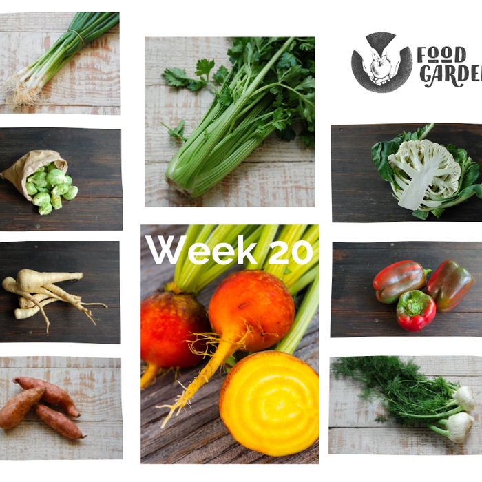 Week 20 - Gippsland Red Capsicum, new season Celery, biodynamic Parsnip, Turnip from Colac and the start of Spud season
