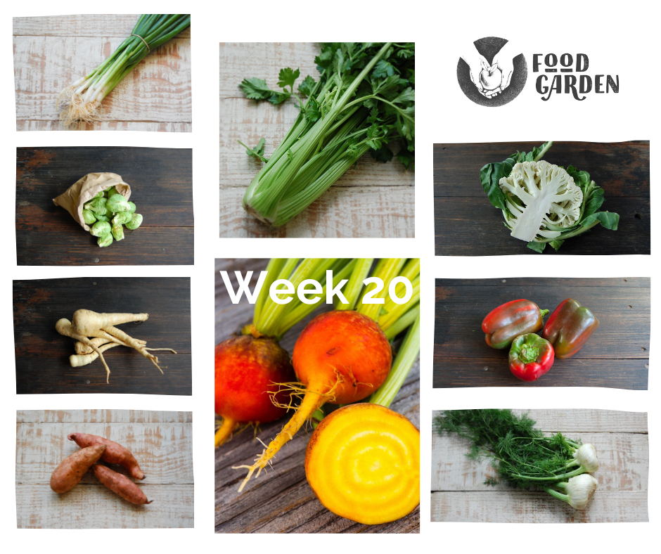 Week 20 - Gippsland Red Capsicum, new season Celery, biodynamic Parsnip, Turnip from Colac and the start of Spud season