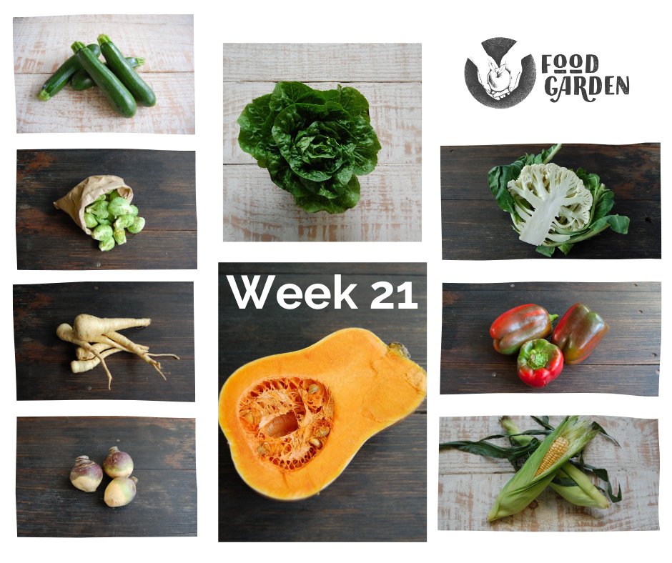 Week 21 - Gippsland Red Capsicum, new season Swede, biodynamic Parsnip, Turnip from Colac and the start of Spud season