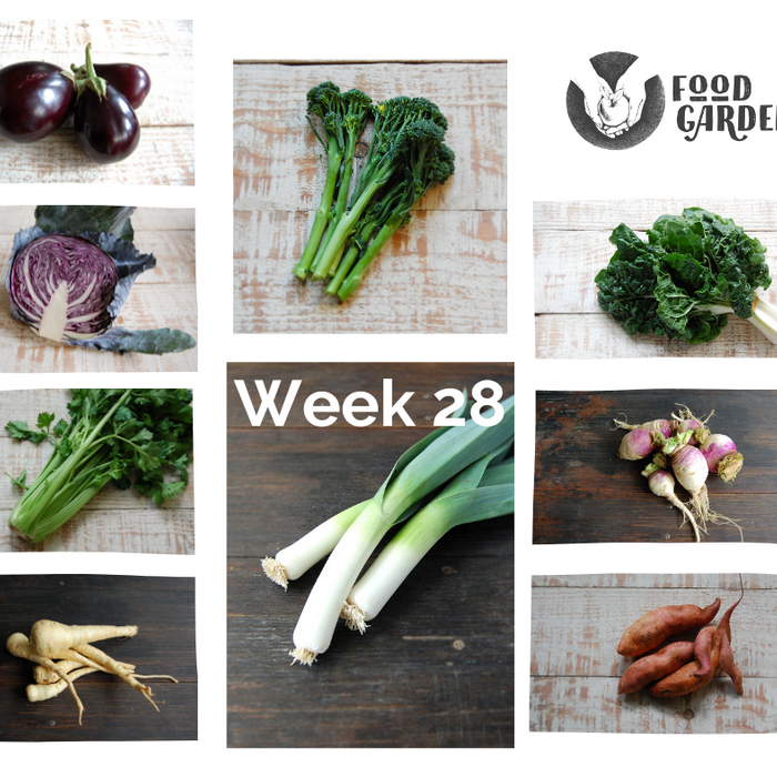 Week 28 - Broccolini, Red Cabbage, Celery, Leek, Parsnip, Turnip and Tangelo