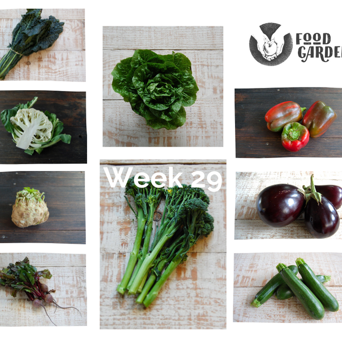 Week 29 - Broccolini bunches, Cauliflower, Celeriac, Turnip, Chat Potato and Baby Cos Lettuce