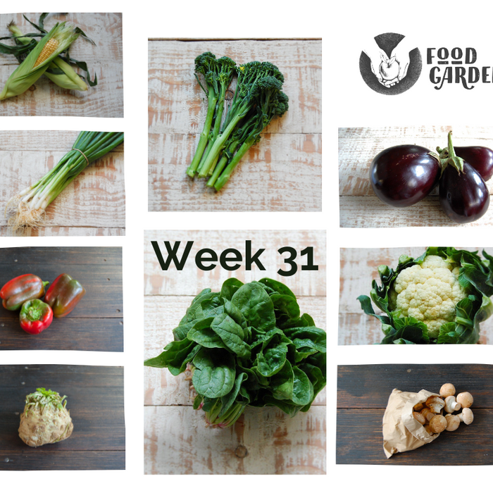 Week 31 - Sweet Corn, Spinach, Broccolini, Cauliflower, Chat Potato and Celeriac