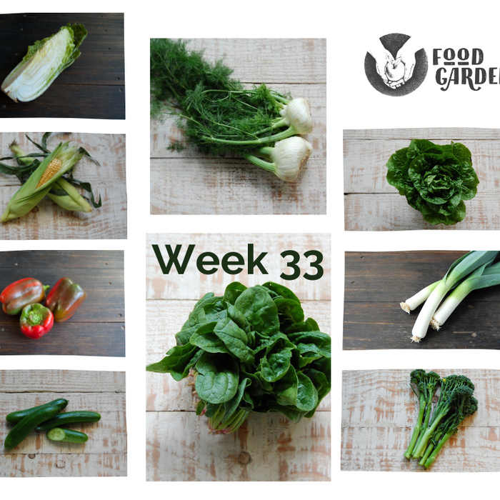 Week 33 - Wombok, Sweet Corn, Cucumber, Tomato, Leek, Broccolini and Tangelo