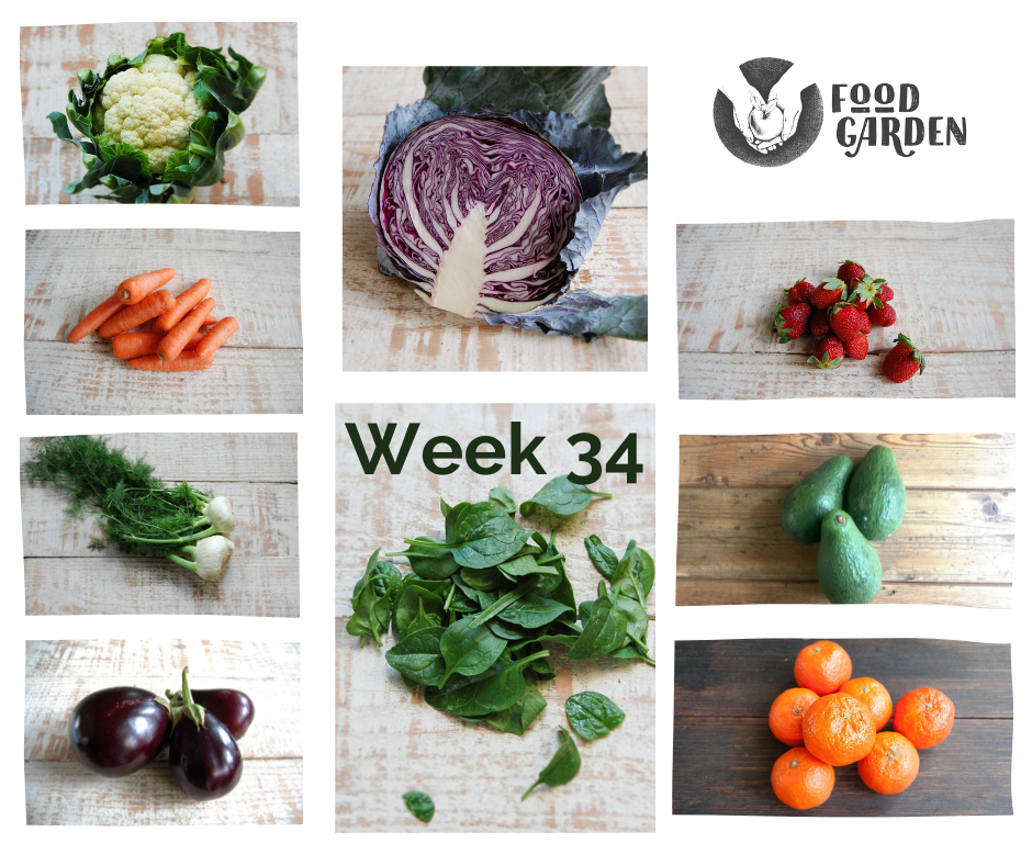 Week 34 - Beans, Broad Beans, Fennel, Wombok, Eggplant, Capsicum and Afourer Mandarins