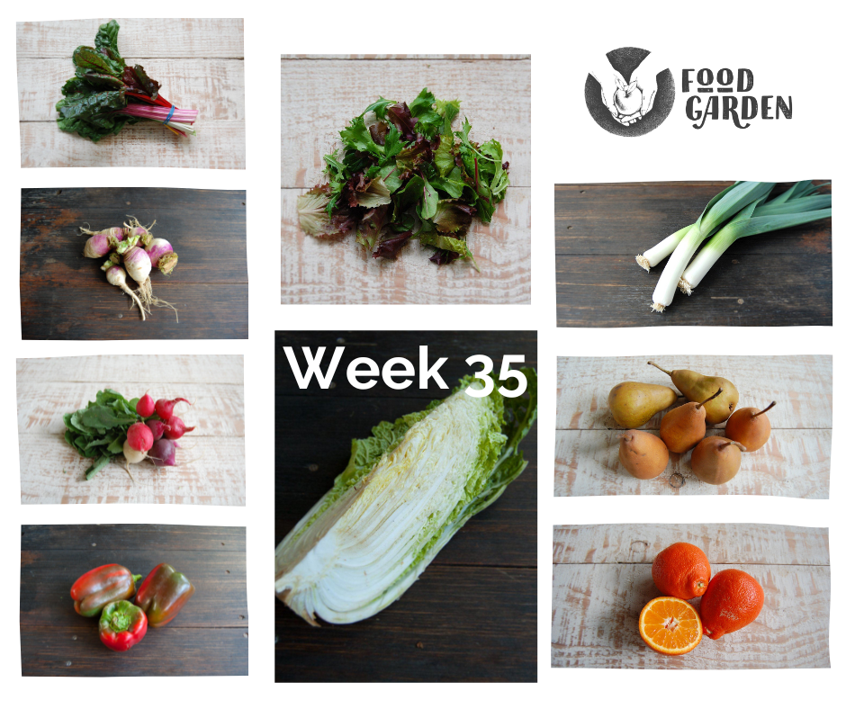 Week 35 - Wombok, Capsicum, Broccoli, Radish, Cos Lettuce, Rainbow Chard and Strawberries