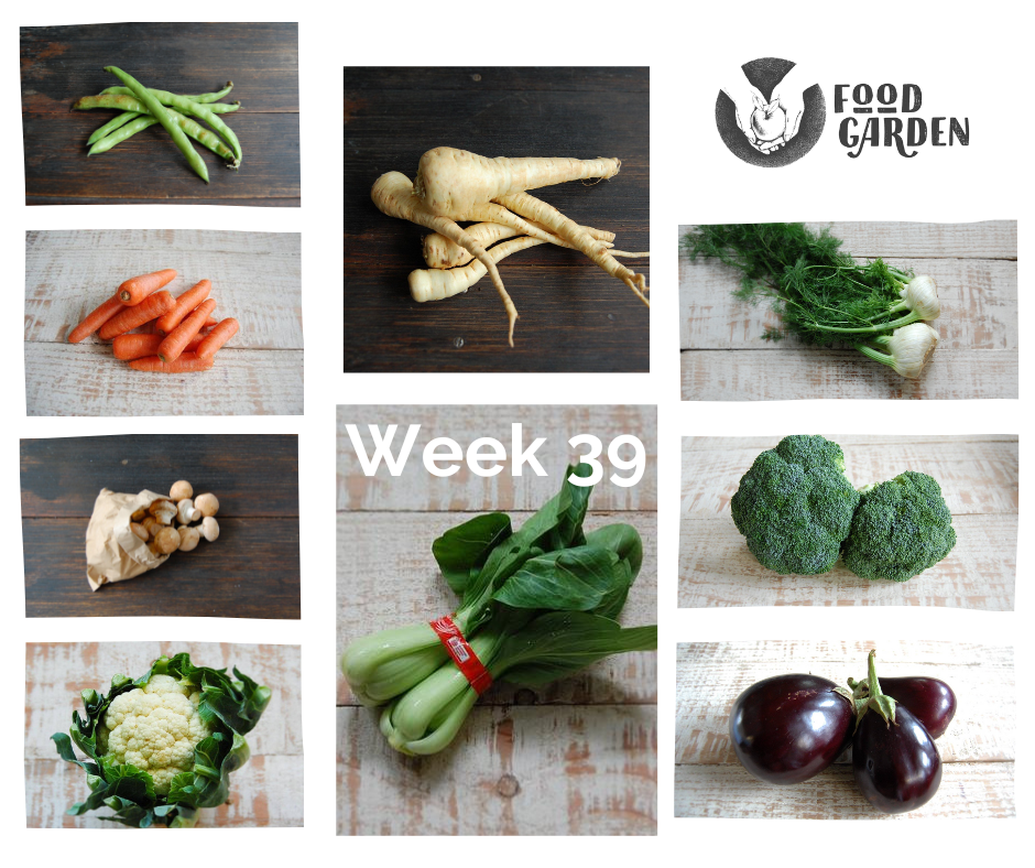 Week 39 - Swiss Browns, Broad Beans, biodynamic Brassicas, Eggplant, Pak Choy, Packham Pears & Strawberries