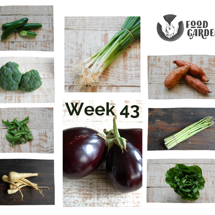 Week 43 - Eggplant, Snowpeas, Sweet Potato, Peas, Spring Onions and Lettuce