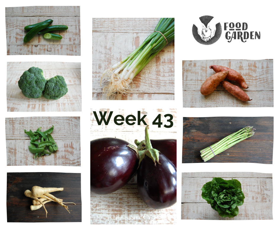 Week 43 - Eggplant, Snowpeas, Sweet Potato, Peas, Spring Onions and Lettuce