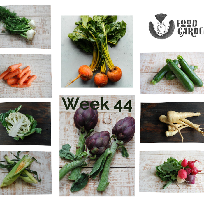 Week 44 - Purple Artichoke, Beetroot with Leaves, Snow Peas, Sweet Corn, Black Kale and Pink Gra pefruit