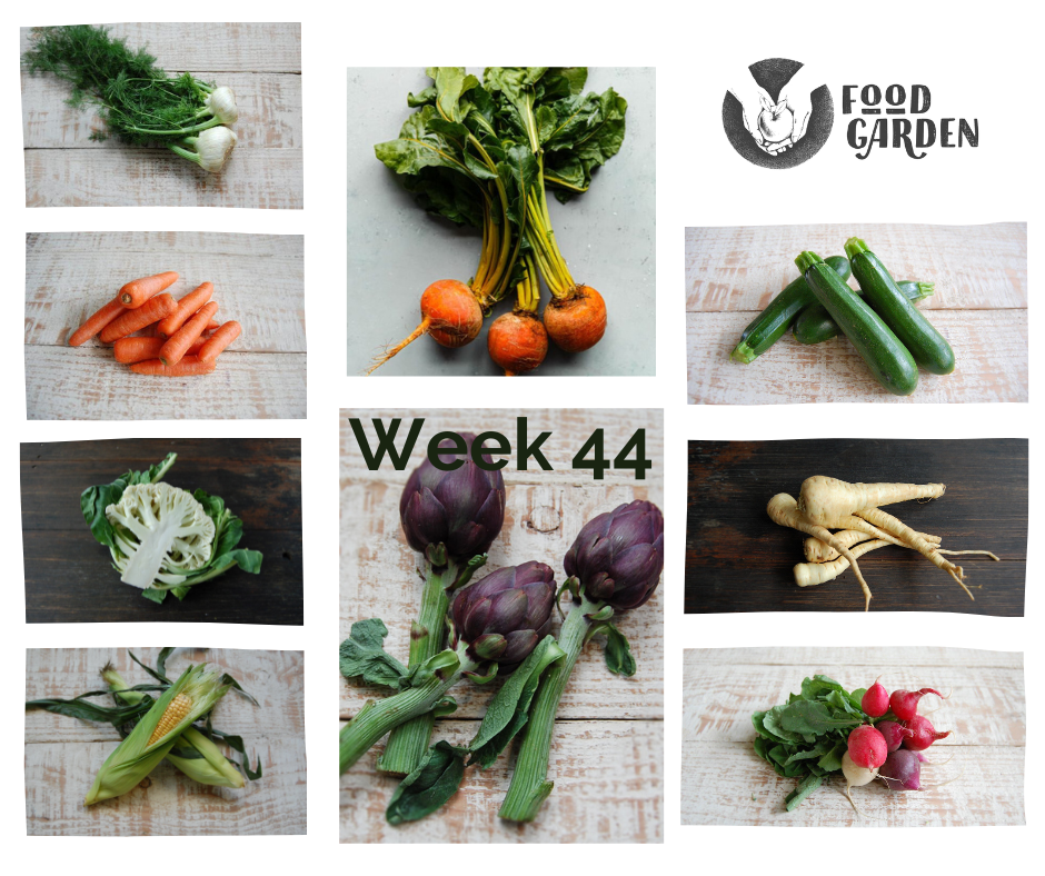 Week 44 - Purple Artichoke, Beetroot with Leaves, Snow Peas, Sweet Corn, Black Kale and Pink Gra pefruit