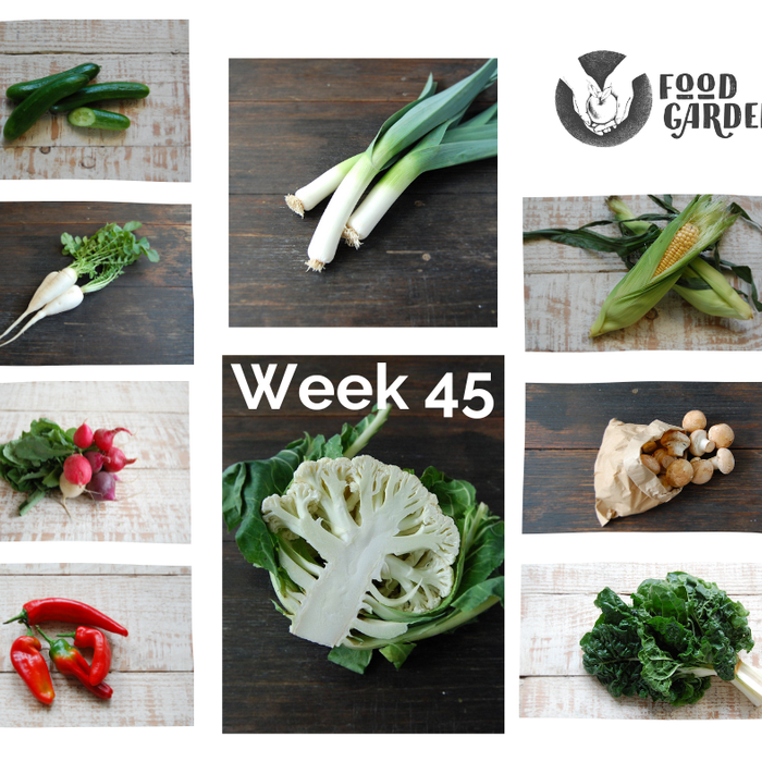 Week 45 - Lebanese Cucumber, Baby Cos Lettuce, Beetroot, Capsicum, Zucchini, Swiss Browns and Leek
