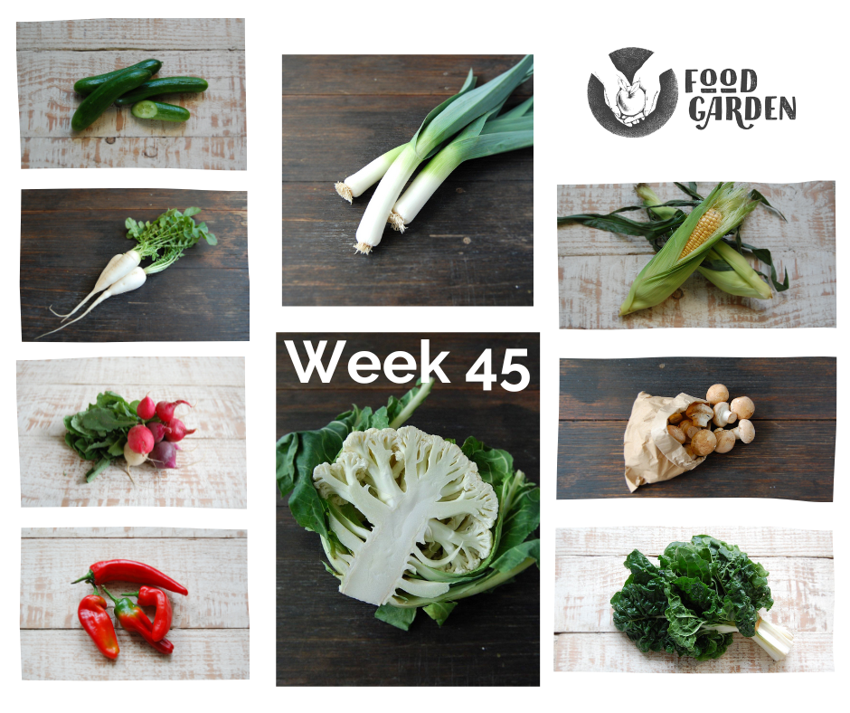 Week 45 - Lebanese Cucumber, Baby Cos Lettuce, Beetroot, Capsicum, Zucchini, Swiss Browns and Leek
