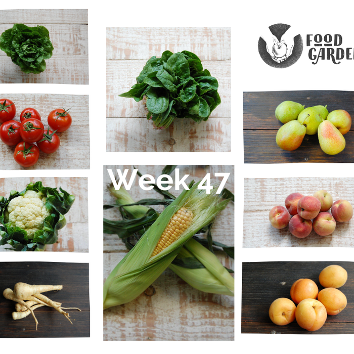 Week 47 - Sweet Corn, Tomato, Zucchini, Baby Cos, Peaches, Apricots and Nectartines