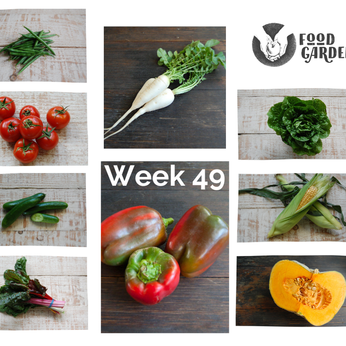 Week 49 - Beans, Capsicum, Baby Daikon bunches, Baby Cos, biodynamic Cucumber, Red Cabbage, Kalie Apples