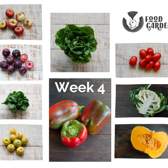 Week 4- Biodynamic Capsicum and Pumpkin, new season Cauliflower, loads of Broccoli, Cos Lettuce and new season Potato