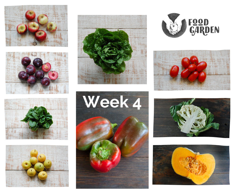 Week 4- Biodynamic Capsicum and Pumpkin, new season Cauliflower, loads of Broccoli, Cos Lettuce and new season Potato