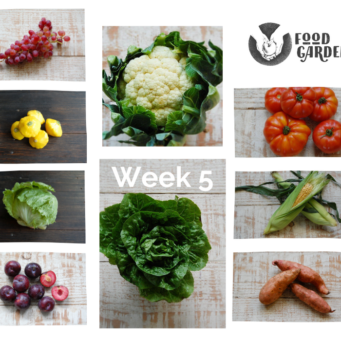 Week 5 - Cauliflower, Baby Cos, Sweet Potato, Bullhorns, Spring Onion and Pak Choy