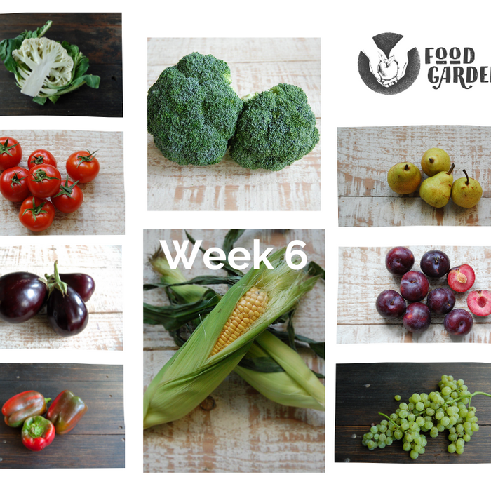 Week 6 - Sweet Corn, Broccoli, Spring Onions, Eggplant and Williams Pears