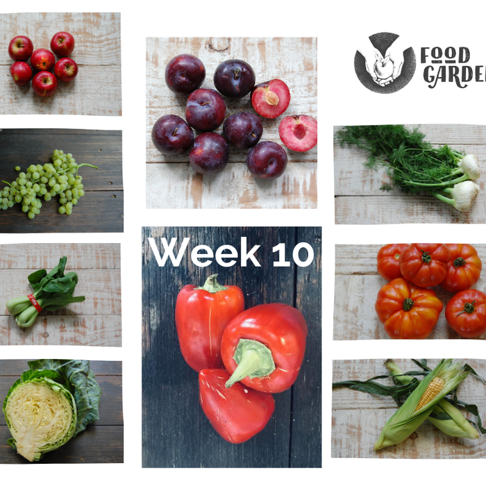 Week 10 - Baby Carrots, Pimento Capsicum, Baby Cos, Fennel, Field Tomato, Pak Choy, Black Majesty Plums and Packham Pears