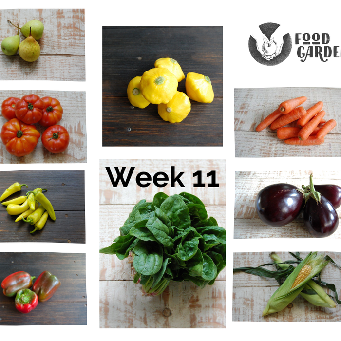 Week 11 - Eggplant, Sweet Corn, Sweet Potato, Bullhorn Capsicum, Yellow Squash and Spinach