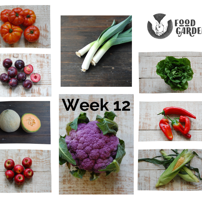 Week 12 - French Beans, Bullhorn Capsicum, Leek, Baby Cos, Tomato and new season Apples