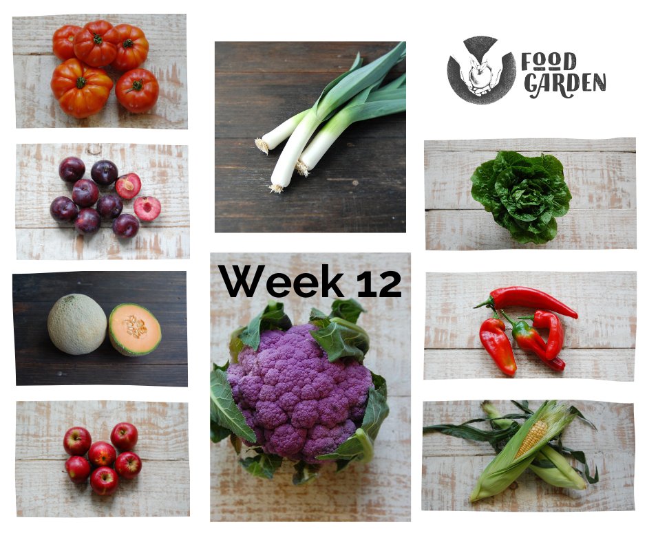 Week 12 - French Beans, Bullhorn Capsicum, Leek, Baby Cos, Tomato and new season Apples