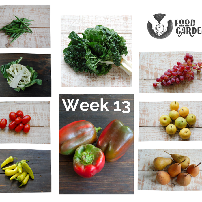 Week 13 - Fuji Apples, Packham Pears, Beurre Bosc, Nashi and Red Candy Plums