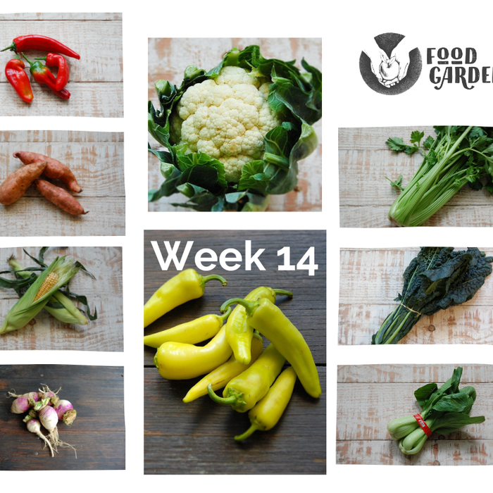 Week 14 - Chat Potato, Bullhorn Capsicum, Cauliflower, Sweet Potato, Black Kale, Leek and Turnip