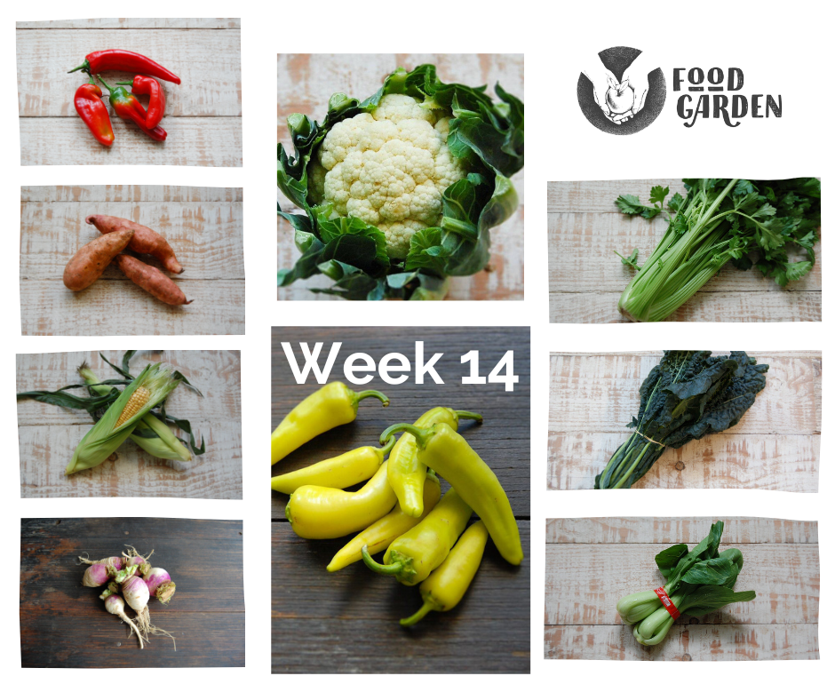 Week 14 - Chat Potato, Bullhorn Capsicum, Cauliflower, Sweet Potato, Black Kale, Leek and Turnip