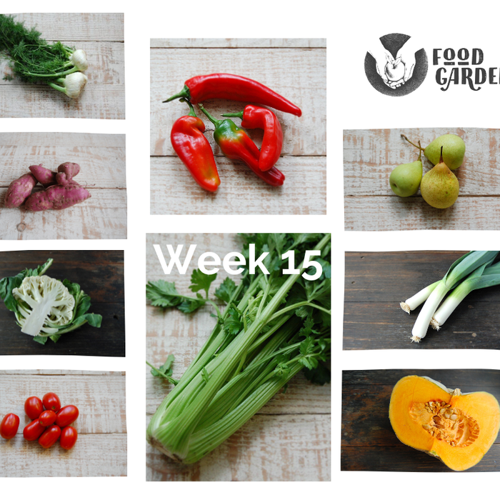 Week 15 - Peninsula Celery, Gippsland Fennel and Capsicum, Red Sweet Potato, Pumpkin and Roma Tomato