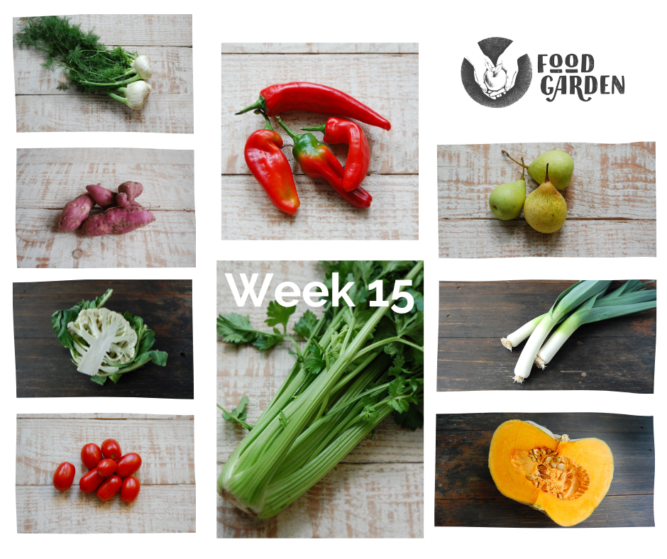 Week 15 - Peninsula Celery, Gippsland Fennel and Capsicum, Red Sweet Potato, Pumpkin and Roma Tomato