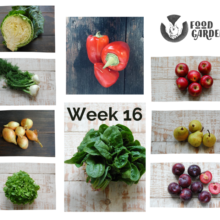 Week 16 - Pimento Capsicum, Mildura Zucchini, biodynamic Broccoli, new season Jonathon Apples and Rhubarb