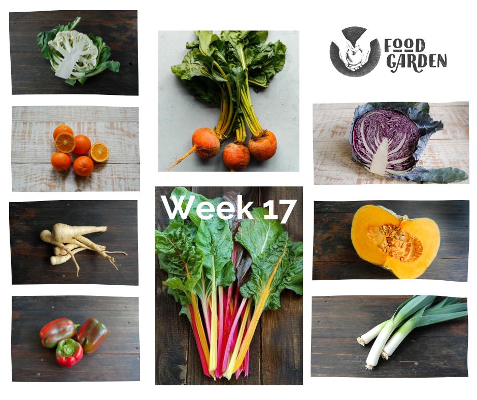 Week 17 - Rainbow Chard, Leek, Cauliflower, Red Cabbage, Pimento Capsicum and Red Lady Potato