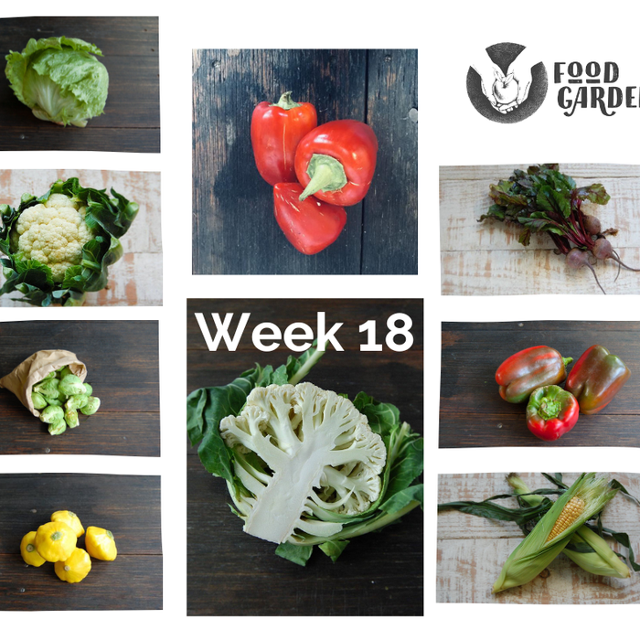 Week 18 - Biodynamic Cauliflower, Pimento Capsicum, Sweet Corn, Green Beans, Red Grapefruit and Mandarins