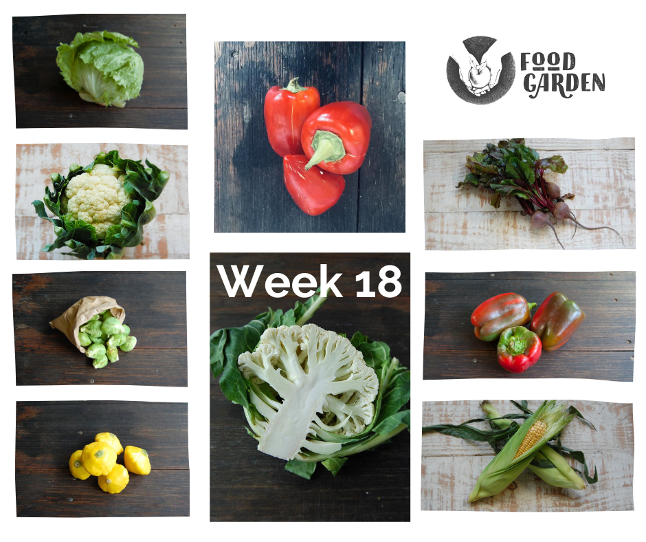 Week 18 - Biodynamic Cauliflower, Pimento Capsicum, Sweet Corn, Green Beans, Red Grapefruit and Mandarins