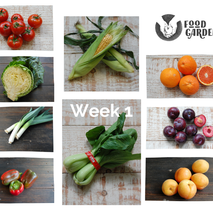 Week 1 - Sweet Corn, Tomato, Pak Choy, Spring Onion, Snowpeas and biodynamic Apricots