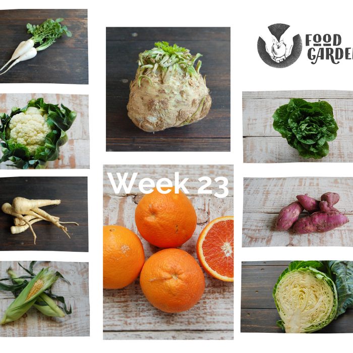 Week 23 - Celeriac, Red Sweet Potato, Turnip, JaP Pumpkin, New season Naval Oranges from Mildura, Spinach and Baby Cos Lettuce