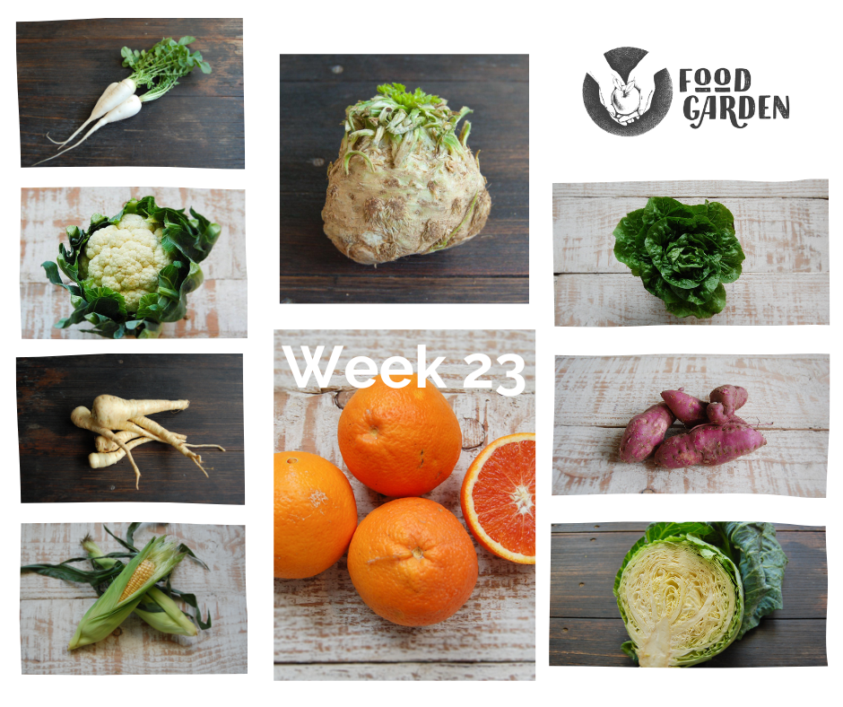 Week 23 - Celeriac, Red Sweet Potato, Turnip, JaP Pumpkin, New season Naval Oranges from Mildura, Spinach and Baby Cos Lettuce