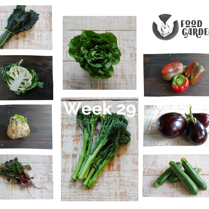 Week 29 - Broccolini, Red Cabbage, Celery, Leek, Parsnip and Tangelo