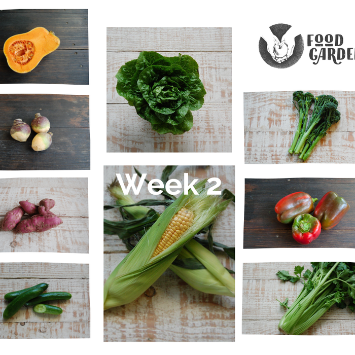 Week 2 - Lebanese Cucumber, Cos Lettuce, Vic Potato, Swede, and Sweet Corn