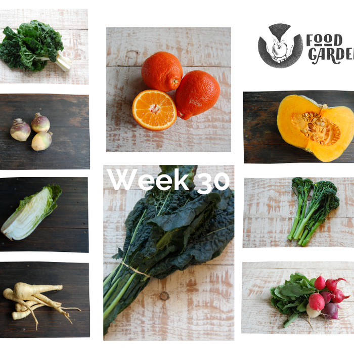 Week 30 - Broccolini bunches, Cauliflower, Celeriac, Turnip, Chat Potato and Baby Cos Lettuce