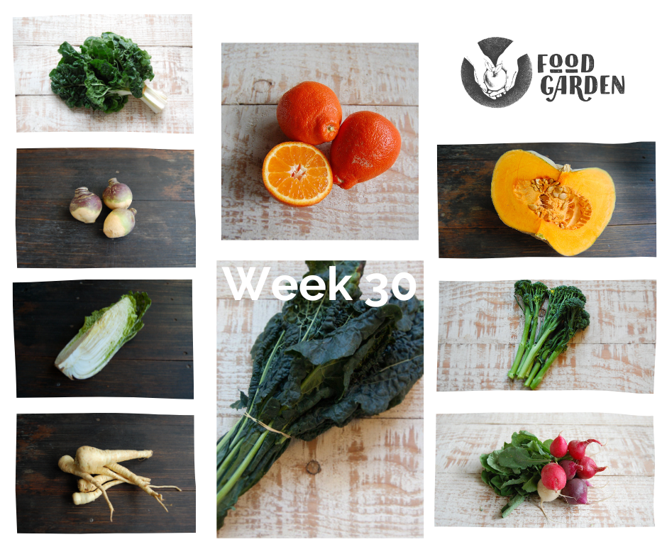 Week 30 - Broccolini bunches, Cauliflower, Celeriac, Turnip, Chat Potato and Baby Cos Lettuce