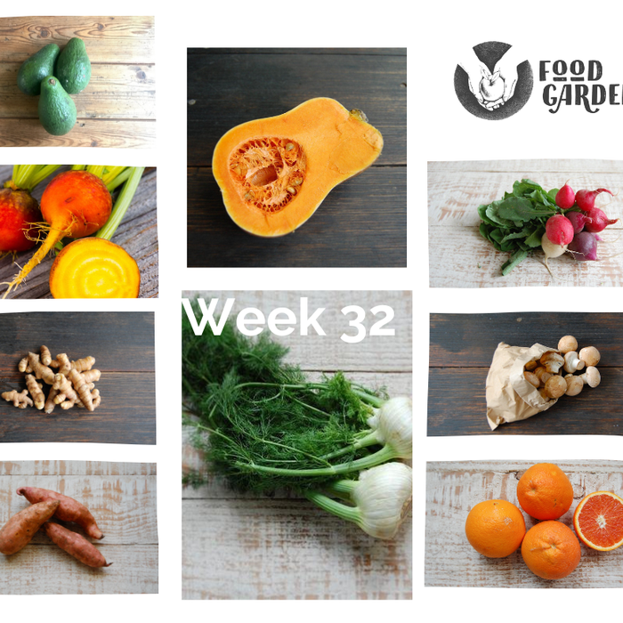 Week 32 - Celery, Parsnip, Celeriac, Eggplant and Capsicum